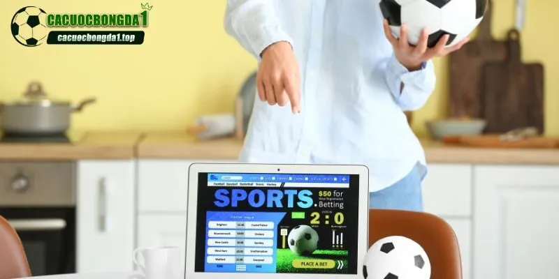 Chuyên mục thu hút người truy cập