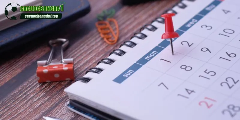 Dễ dàng cập nhật lịch đấu trong ngày