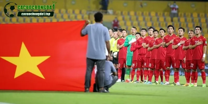 Dữ liệu được cập nhật nhanh chóng