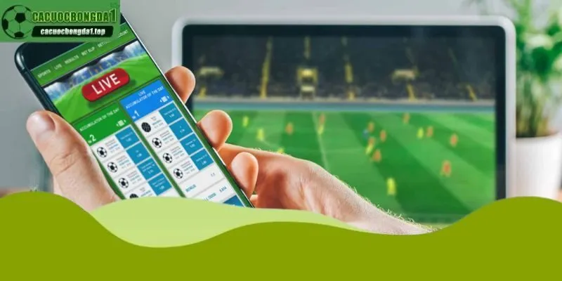 Giới thiệu soi kèo tài xỉu