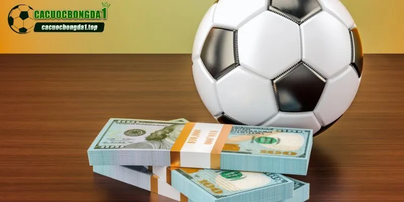 Hướng dẫn chi tiết cách đọc và soi kèo trên kèo dưới