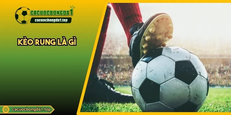 Kèo rung là gì