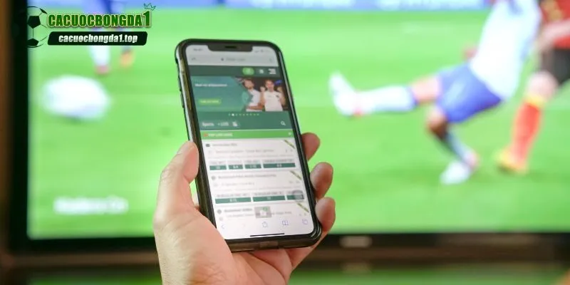 Livescore cung cấp nhiều thông tin hữu ích