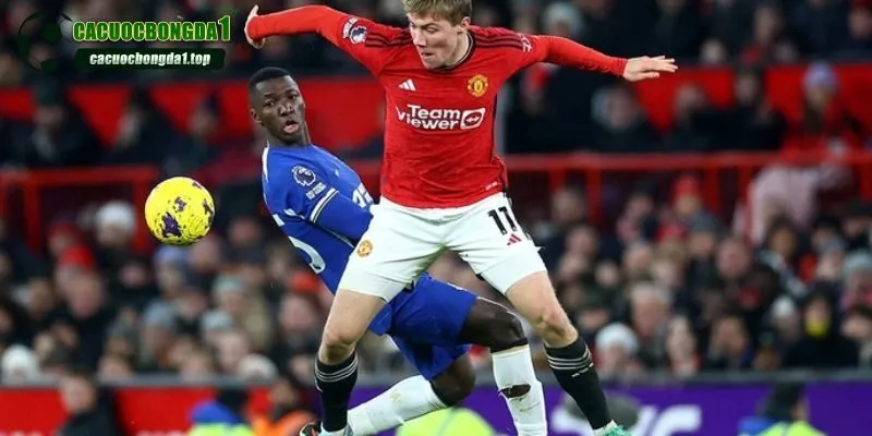 Phong độ đội tuyển cho ta rất nhiều dữ liệu hữu ích