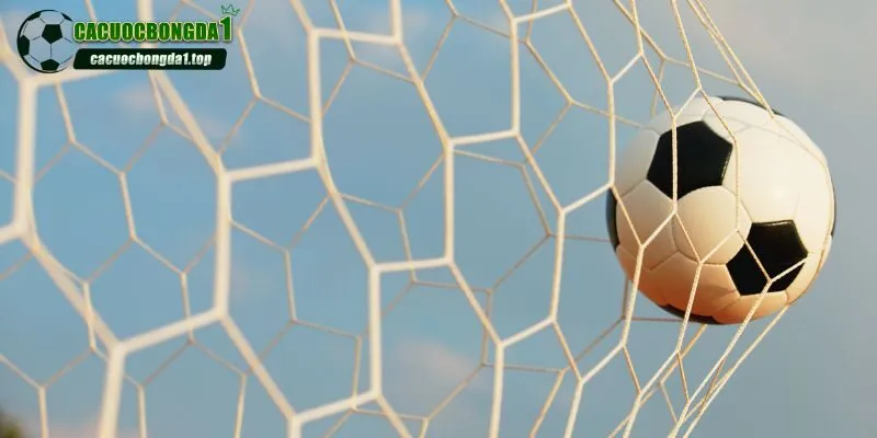 Thông tin vô cùng hữu ích