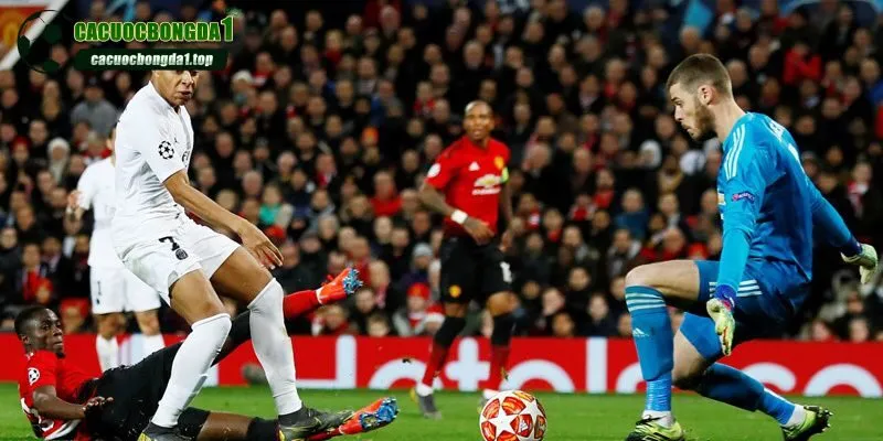 Tin tức chia sẻ vô cùng phong phú