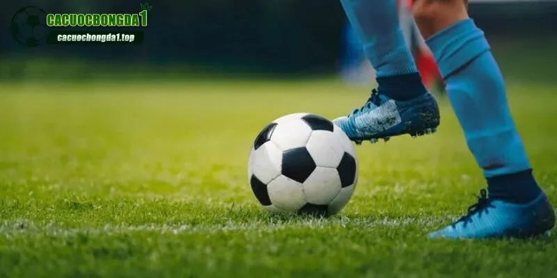 Tổng quan chi tiết định nghĩa rõ ràng kèo rung là gì