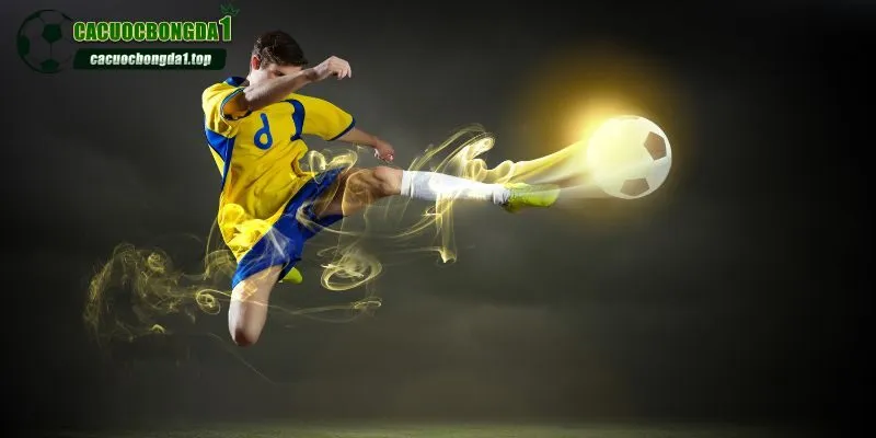 Trang mang đến nhiều thông tin hữu ích