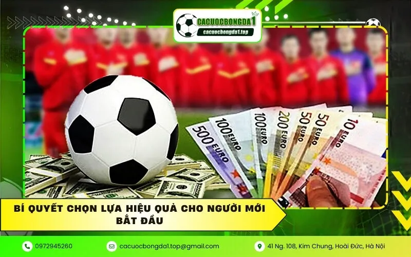 Bí quyết chọn lựa hiệu quả cho người mới bắt đầu