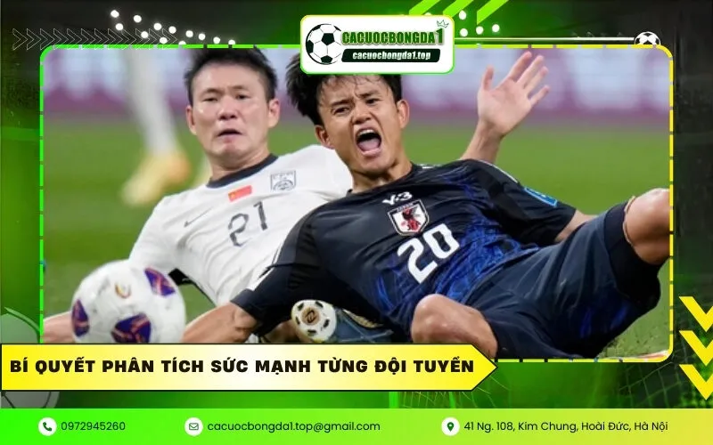Bí Quyết Phân Tích Sức Mạnh Từng Đội Tuyển