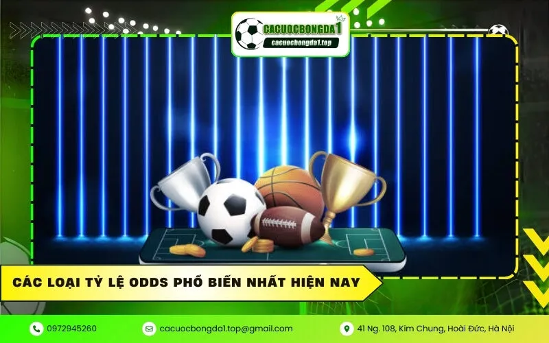 Các loại tỷ lệ Odds phổ biến nhất hiện nay
