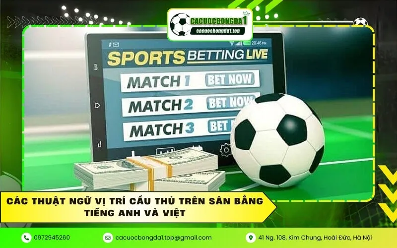 Các thuật ngữ vị trí cầu thủ trên sân bằng tiếng Anh và Việt