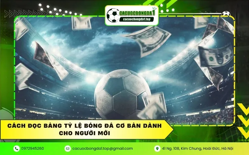 Cách Đọc Bảng Tỷ Lệ Bóng Đá Cơ Bản Dành Cho Người Mới