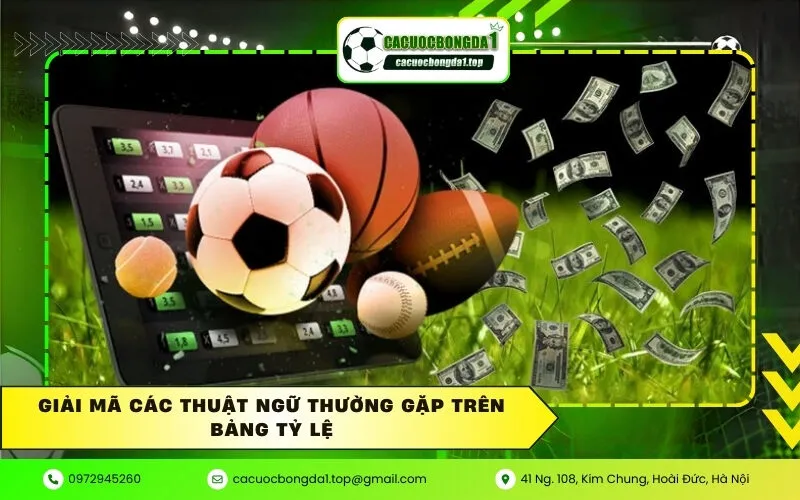 Giải mã các thuật ngữ thường gặp trên bảng tỷ lệ