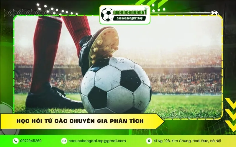 Học Hỏi Từ Các Chuyên Gia Phân Tích