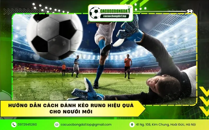 Hướng dẫn cách đánh kèo rung hiệu quả cho người mới