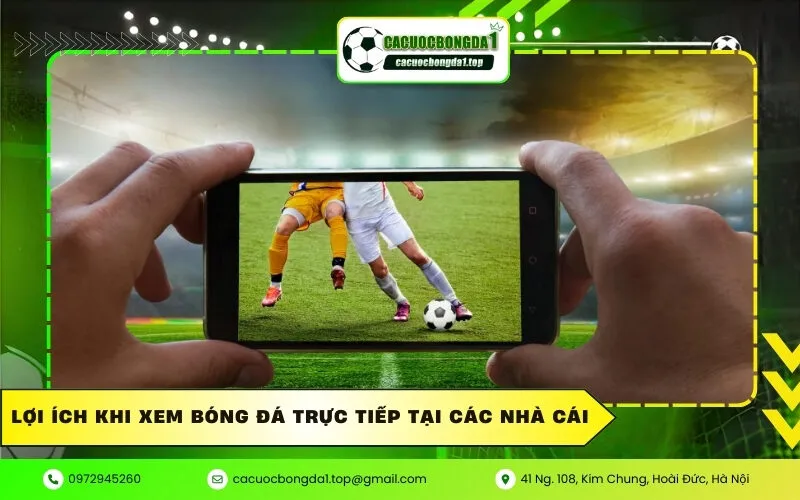 Lợi ích khi xem bóng đá trực tiếp tại các nhà cái