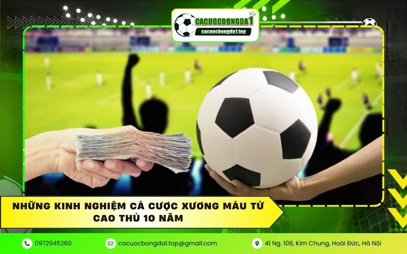 Những kinh nghiệm cá cược xương máu từ cao thủ 10 năm