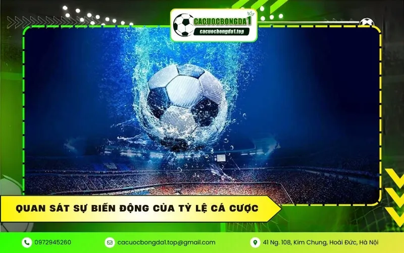 Quan sát sự biến động của tỷ lệ cá cược