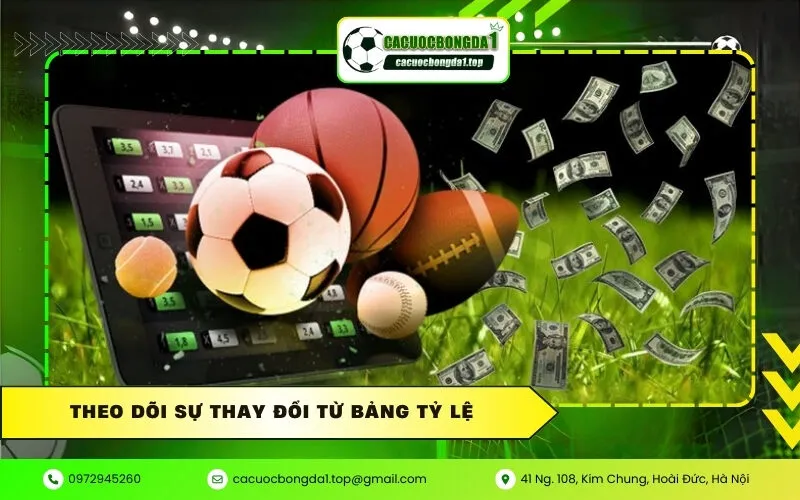 Theo dõi sự thay đổi từ bảng tỷ lệ