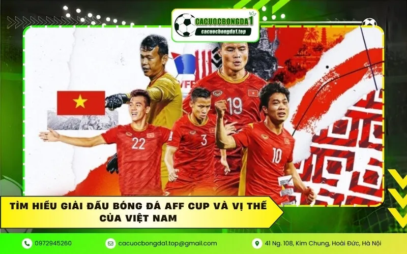 Tìm hiểu giải đấu bóng đá AFF Cup và vị thế của Việt Nam