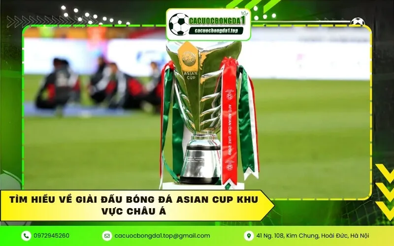 Tìm hiểu về giải đấu bóng đá Asian Cup khu vực Châu Á